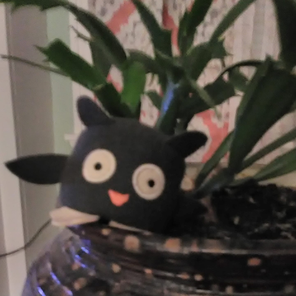 Meet your Posher, Janelle